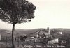 Cartoline dal Senese - Castellina in Chianti in cartolina