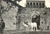 Cartoline dal Senese - San Gimignano