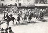 Cartoline dal Senese - Siena - Il Palio delle Contrade