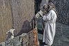 Contignano, Presepe Vivente