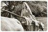 Bettolle 2025 - Rievocazione Storica del Matrimonioo Contadino Anni '50
