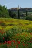 Mille Miglia 2008 - Pienza