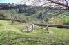 Fonte delle Monache