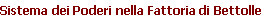 Sistema dei Poderi nella Fattoria di Bettolle