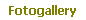 Fotogallery