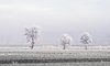 Valdichiana: Paesaggio Rurale Storico